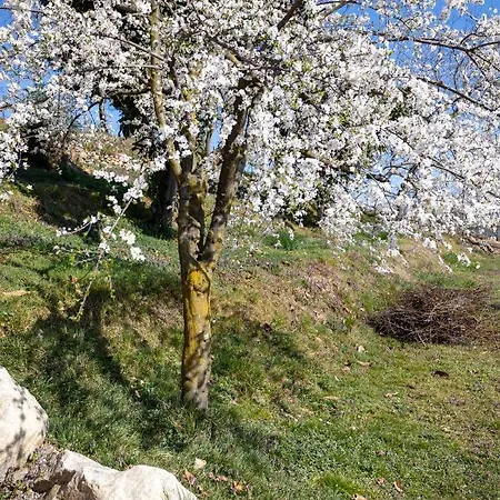 公寓 Cascina Dei Ciliegi *